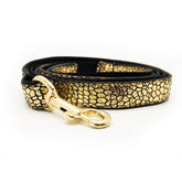 Black and Gold Collar